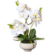 Creativ green Kunstorchidee "Orchidee Phalaenopsis im Keramiktopf" von Creativ Green