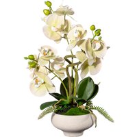 Creativ green Kunstorchidee "Orchidee Phalaenopsis im Keramiktopf" von Creativ Green