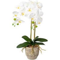 Creativ green Kunstorchidee "Orchidee Phalaenopsis im Keramiktopf" von Creativ Green
