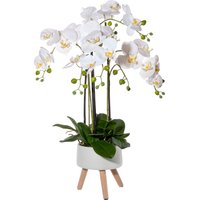 Creativ green Kunstorchidee "Orchidee Phalaenopsis in Keramikschale" von Creativ Green