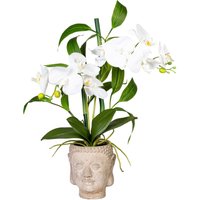 Creativ green Kunstorchidee "Orchideen-Bambus-Arrangement im Buddhakopf" von Creativ Green
