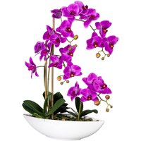 Creativ green Kunstorchidee "Phalaenopsis" von Creativ Green