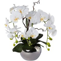 Creativ green Kunstorchidee "Phalaenopsis" von Creativ Green