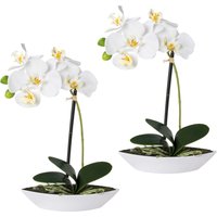 Creativ green Kunstorchidee "Phalaenopsis", 2er Set, in Kunststoffschale von Creativ Green