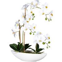 Creativ green Kunstorchidee "Phalaenopsis" im Keramikschiff Creativ green Kunstorchidee "Phalaenopsis" im Keramikschiff von Creativ Green