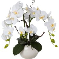 Creativ green Kunstorchidee "Phalaenopsis" von Creativ Green