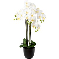 Creativ green Kunstorchidee "Phalaenopsis im Resintopf" von Creativ Green