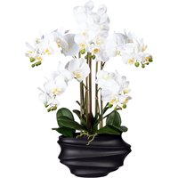 Creativ green Kunstorchidee "Phalaenopsis" in Design-Kunststoffvase von Creativ Green
