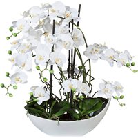 Creativ green Kunstorchidee "Phalaenopsisarrangement, 68cm weiss", in Keramikschale von Creativ Green