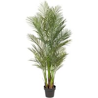 Creativ green Kunstpalme "Arecapalme" von Creativ Green
