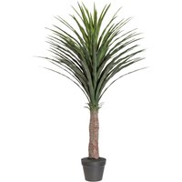 Creativ green Kunstpalme "Palme Yucca" von Creativ Green