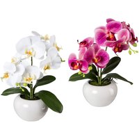 Creativ green Kunstpflanze, 2er Set Creativ green Kunstpflanze, 2er Set von Creativ Green