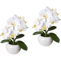 Creativ green Kunstpflanze, 2er Set Creativ green Kunstpflanze, 2er Set von Creativ Green