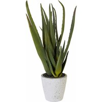 Creativ green Kunstpflanze "Aloe" von Creativ Green