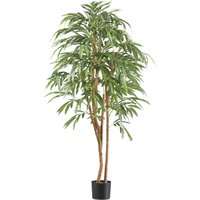 Creativ green Kunstpflanze "Ficus longifolia" mit Naturstamm Creativ green Kunstpflanze "Ficus longifolia" mit Naturstamm von Creativ Green