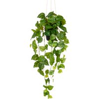 Creativ green Kunstpflanze "Hängender Philodendron hederaceum" mit üppigen Ranken von Creativ Green