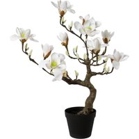 Creativ green Kunstpflanze "Magnolienbaum" von Creativ Green