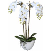 Creativ green Kunstpflanze "Mini Orchidee" von Creativ Green