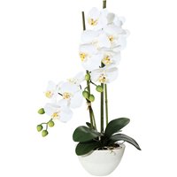 Creativ green Kunstpflanze "Orchidee" von Creativ Green