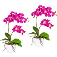 Creativ green Kunstpflanze "Orchidee Phalaenopsis" von Creativ Green