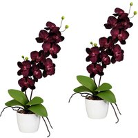 Creativ green Kunstpflanze "Orchidee Phalaenopsis" von Creativ Green