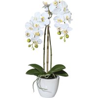 Creativ green Kunstpflanze "Orchidee Phalaenopsis" im Keramiktopf Creativ green Kunstpflanze "Orchidee Phalaenopsis" im Keramiktopf von Creativ Green