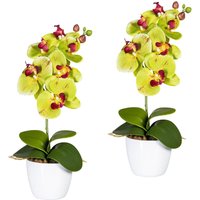 Creativ green Kunstpflanze "Orchidee Phalaenopsis" im Keramiktopf Creativ green Kunstpflanze "Orchidee Phalaenopsis" im Keramiktopf von Creativ Green