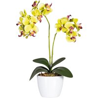 Creativ green Kunstpflanze "Phalaenopsis" von Creativ Green