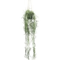 Creativ green Kunstpflanze "Tillandsia-Hängepflanze" mit filigranem Blattwerk von Creativ Green