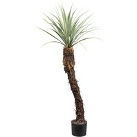 Creativ green Kunstpflanze "Yucca Rostrata", mit außergewöhnlichem Stamm Creativ green Kunstpflanze "Yucca Rostrata", mit außergewöhnlichem Stamm von Creativ Green