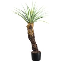 Creativ green Kunstpflanze "Yucca Rostrata", mit außergewöhnlichem Stamm Creativ green Kunstpflanze "Yucca Rostrata", mit außergewöhnlichem Stamm von Creativ Green