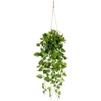 Creativ green Kunstranke "Philodendronhänger", im Hängetopf von Creativ Green
