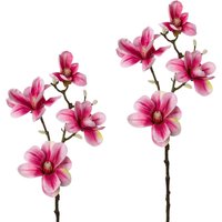 Creativ green Kunstzweig "Zweig Magnolie", 2er Set von Creativ Green