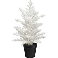 Creativ green Winterliche Kunstpflanze "Tannenbäumchen Araucaria" mit Glitzeroptik Creativ green Winterliche Kunstpflanze "Tannenbäumchen Araucaria" mit Glitzeroptik von Creativ Green