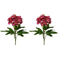 Creativ green Winterliche Kunstpflanze "Weihnachtsdeko", üppiges Blüten- und Blattwerk, 2er-Set Creativ green Winterliche Kunstpflanze "Weihnachtsdeko", üppiges Blüten- und Blattwerk, 2er-Set von Creativ Green