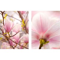 Creativ home Bild "Magnolien", (Set, 2 St.), 2er Set von Creativ Home