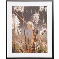 Creativ home Bild mit Rahmen "Leinwandbild Blüten mit Tropfen", (1 St.), mit Rahmen von Creativ Home