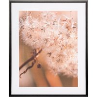 Creativ home Bild mit Rahmen "Pusteblume", (1 St.), auf Canvas-Leinwand von Creativ Home