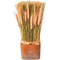 Creativ home Trockenblume "Trockenblumen imTopf" von Creativ Home