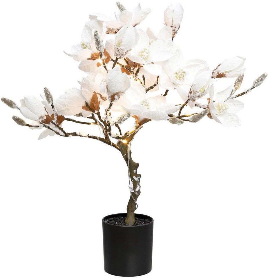 Creativ deco LED Baum Magnolie, LED fest integriert, Warmweiß, beschneit, Höhe ca. 58 cm, mit 20 LEDs von Creativ deco