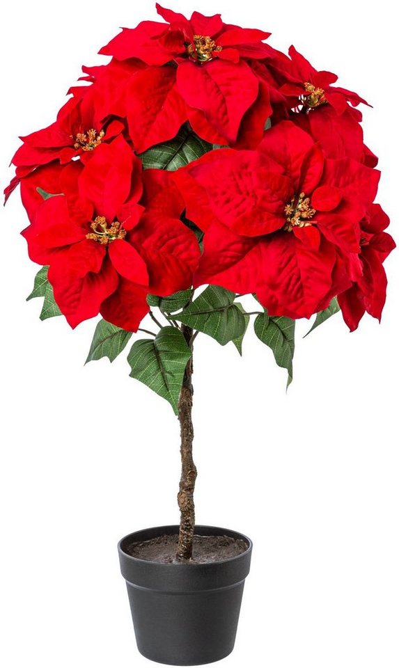 Winterliche Kunstpflanze Weihnachtsdeko Weihnachtsstern, Creativ deco, Höhe 75 cm, Samt-Ausführung von Creativ deco
