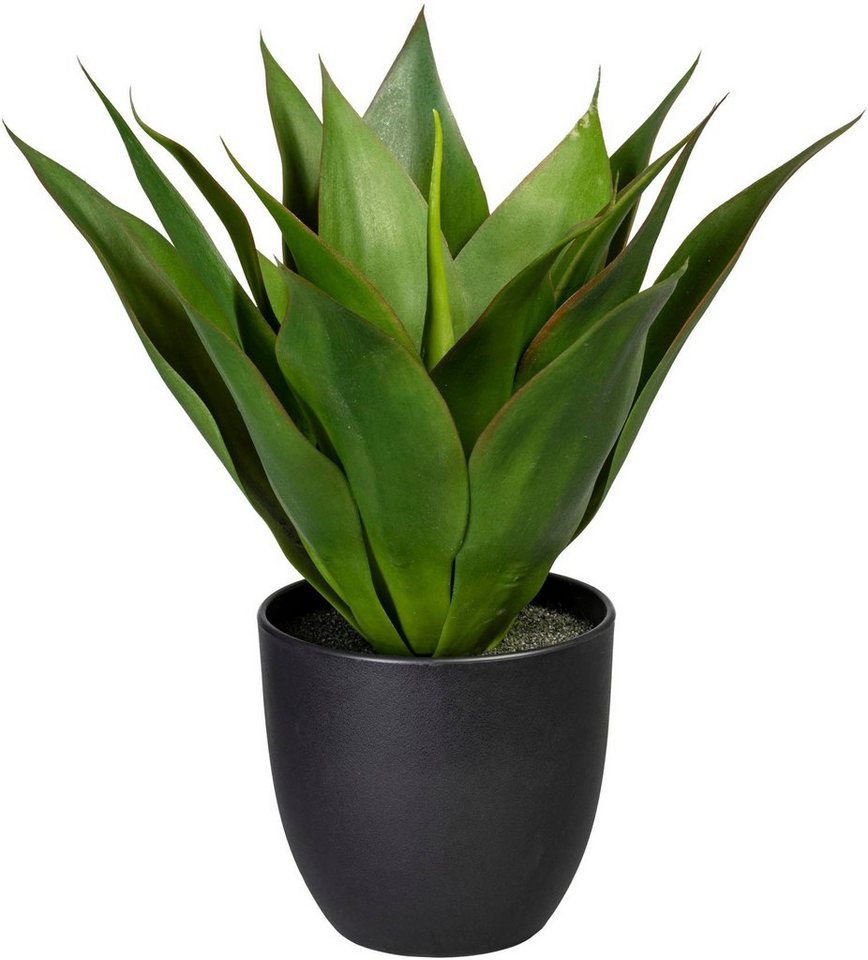 Künstliche Zimmerpflanze Agave Agave, Creativ green, Höhe 36 cm von Creativ green