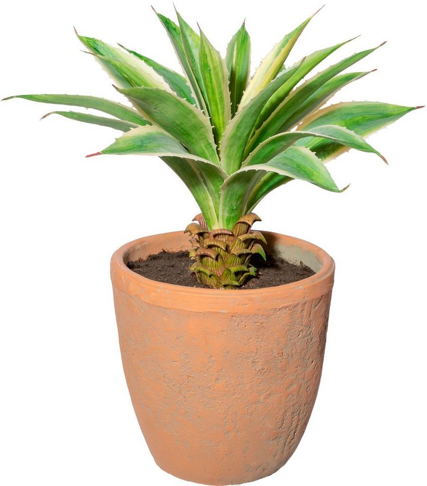 Künstliche Zimmerpflanze Agave im Terracottatopf Sukkulente, Creativ green, Höhe 35 cm von Creativ green