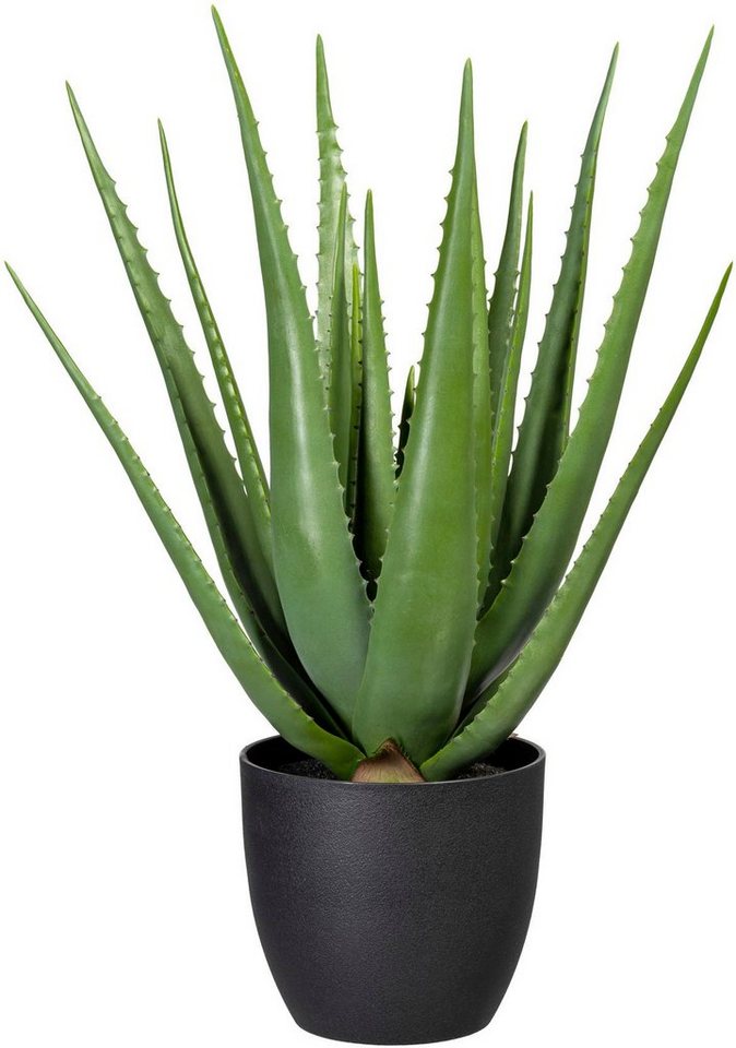 Künstliche Zimmerpflanze Aloe, Creativ green, Höhe 66 cm von Creativ green