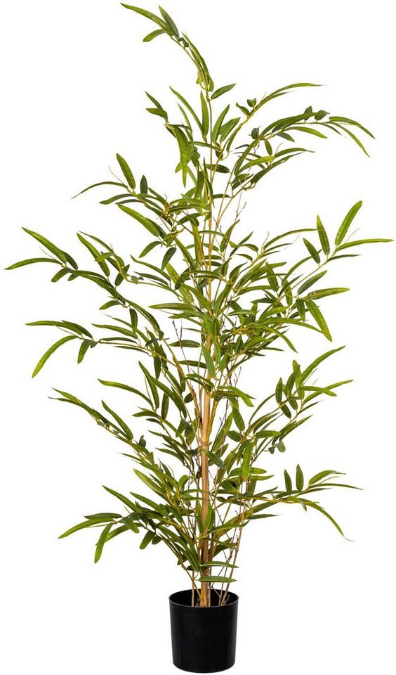 Künstliche Zimmerpflanze Bambus Bambus, Creativ green, Höhe 90 cm von Creativ green
