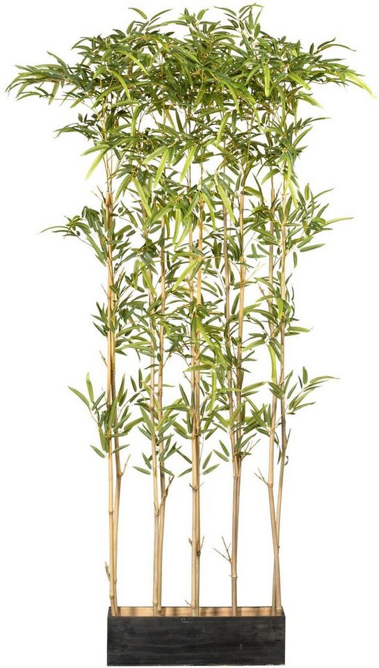 Künstliche Zimmerpflanze Bambusraumteiler Bambus, Creativ green, Höhe 160 cm, im Holzkasten von Creativ green