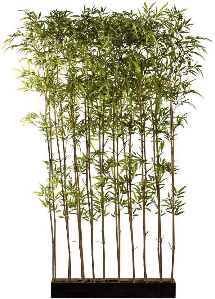 Künstliche Zimmerpflanze Bambusraumteiler Bambus, Creativ green, Höhe 200 cm, im Holzkasten von Creativ green