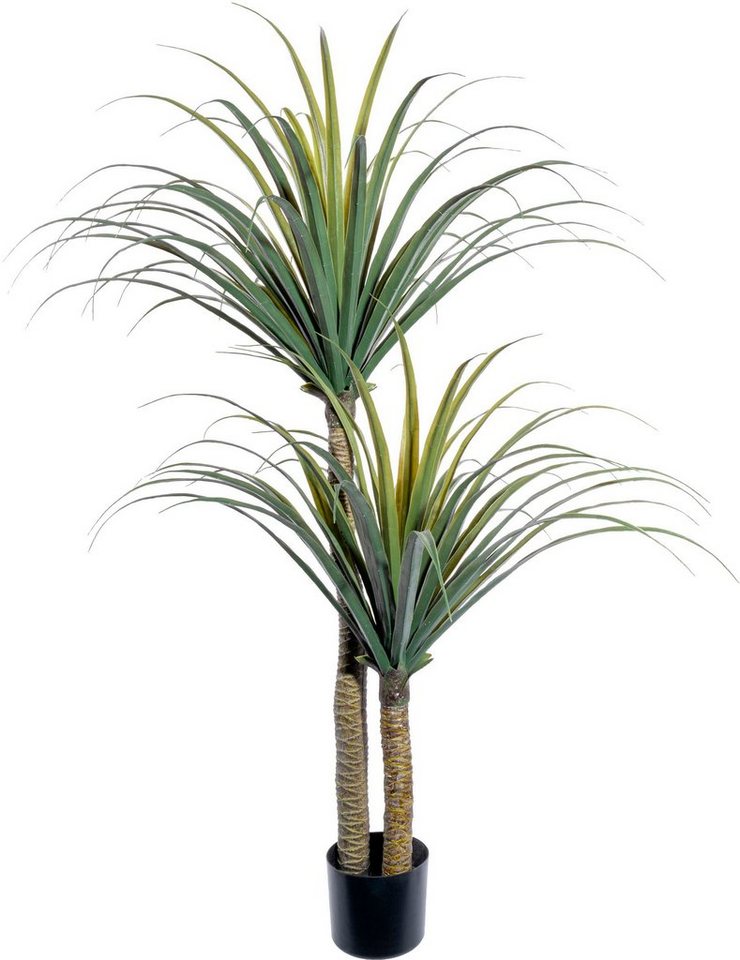 Künstliche Zimmerpflanze Dracaena draco Sukkulente, Creativ green, Höhe 130 cm von Creativ Green