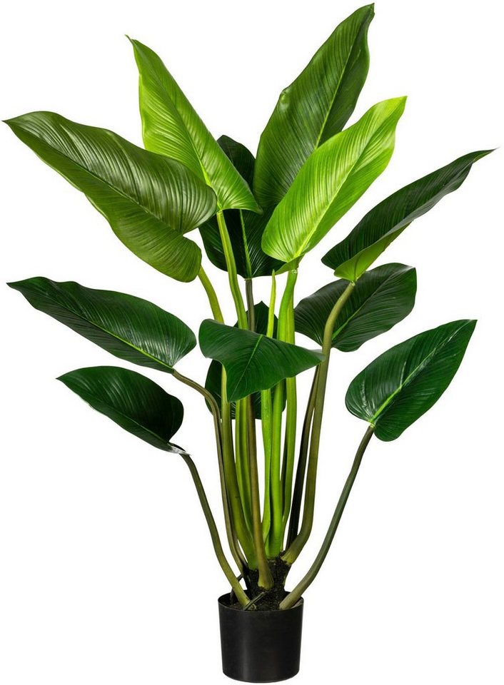 Künstliche Zimmerpflanze Philodendron Philodendron, Creativ green, Höhe 130 cm von Creativ green