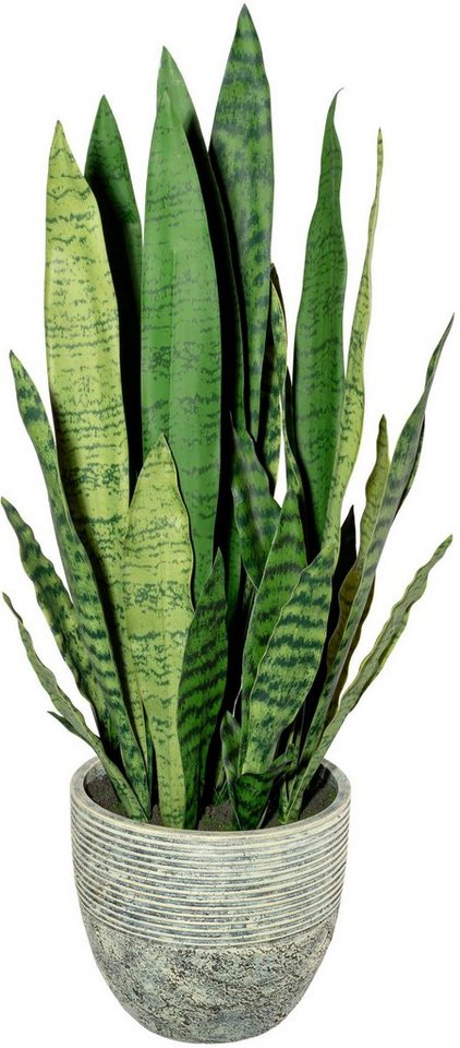 Künstliche Zimmerpflanze Sanseveria Sukkulente, Creativ green, Höhe 80 cm von Creativ green